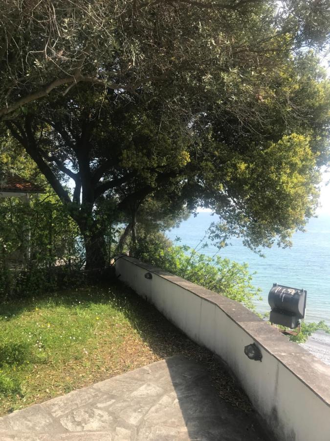 Zeusplace Seaside Home Private Beach And Parking Plaka Litochorou Exterior photo